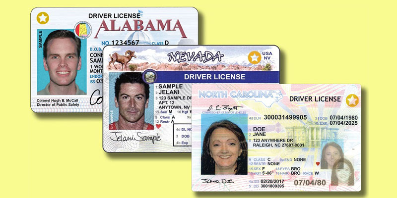 Buy Driver’s License Online